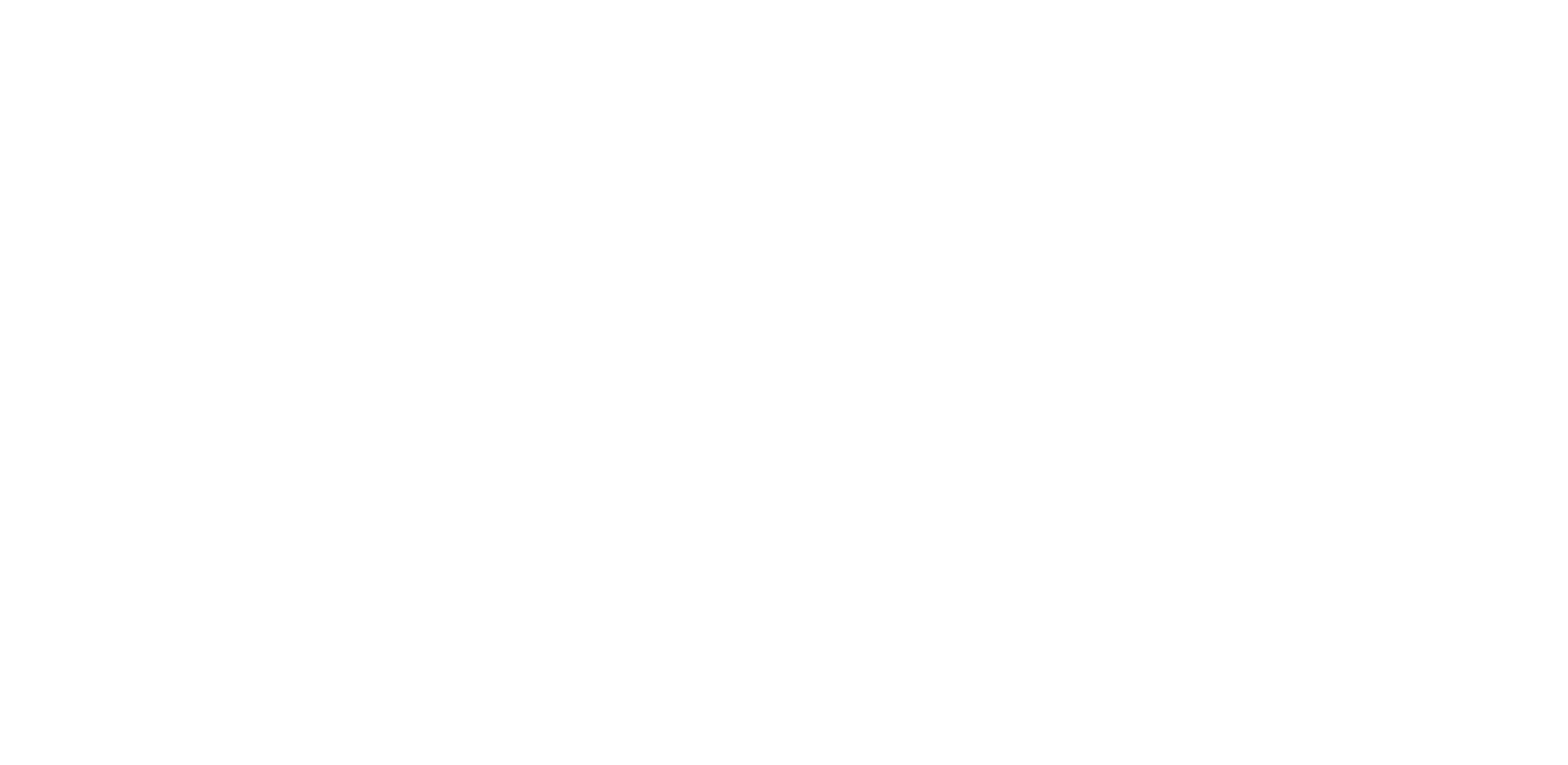 Evolv Logo